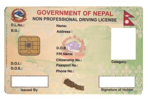 नाङ्लोमा भरिन्छ लाइसेन्सको अनलाइन फाराम
