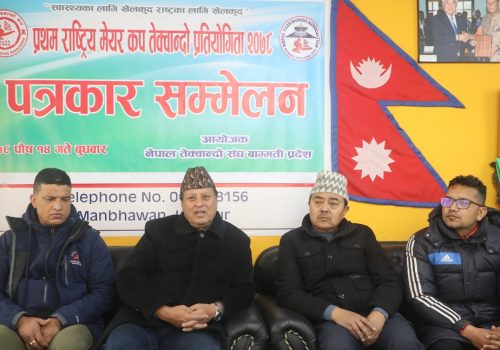 मेयर कप राष्ट्रिय तेक्वान्दोमा ११ टोली