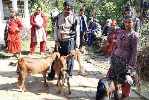 ज्यामरुङका किसानलाई बाख्रा पालन तालिम