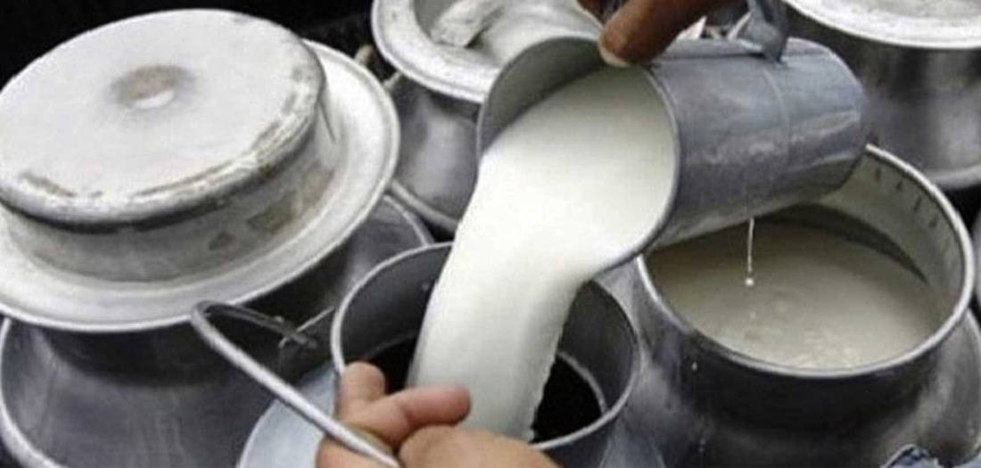 दुधको मूल्य तत्काल बढाउन किसानको माग