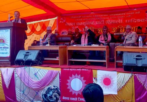 गठबन्धन सरकार गतिहिन भयोःडा.पुष्पराज कँडेल
