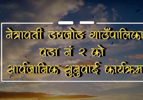 नेत्रावती डबजोङ गाउँपालिका वडा नं २ को सार्वजनिक सुनुवाई(भिडियो)