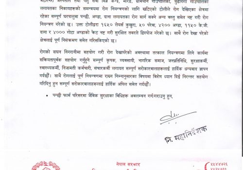 नेपालमा फेरि बर्डफ्लू, माेरङमा कुखुरा नष्ट