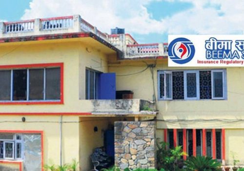 बिमा समितिले ग-यो ११ बिमा कम्पनीलाई कारबाही