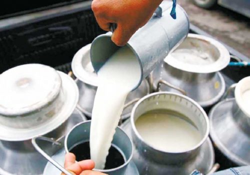 दुग्ध उत्पादक किसानलाई अनुदान