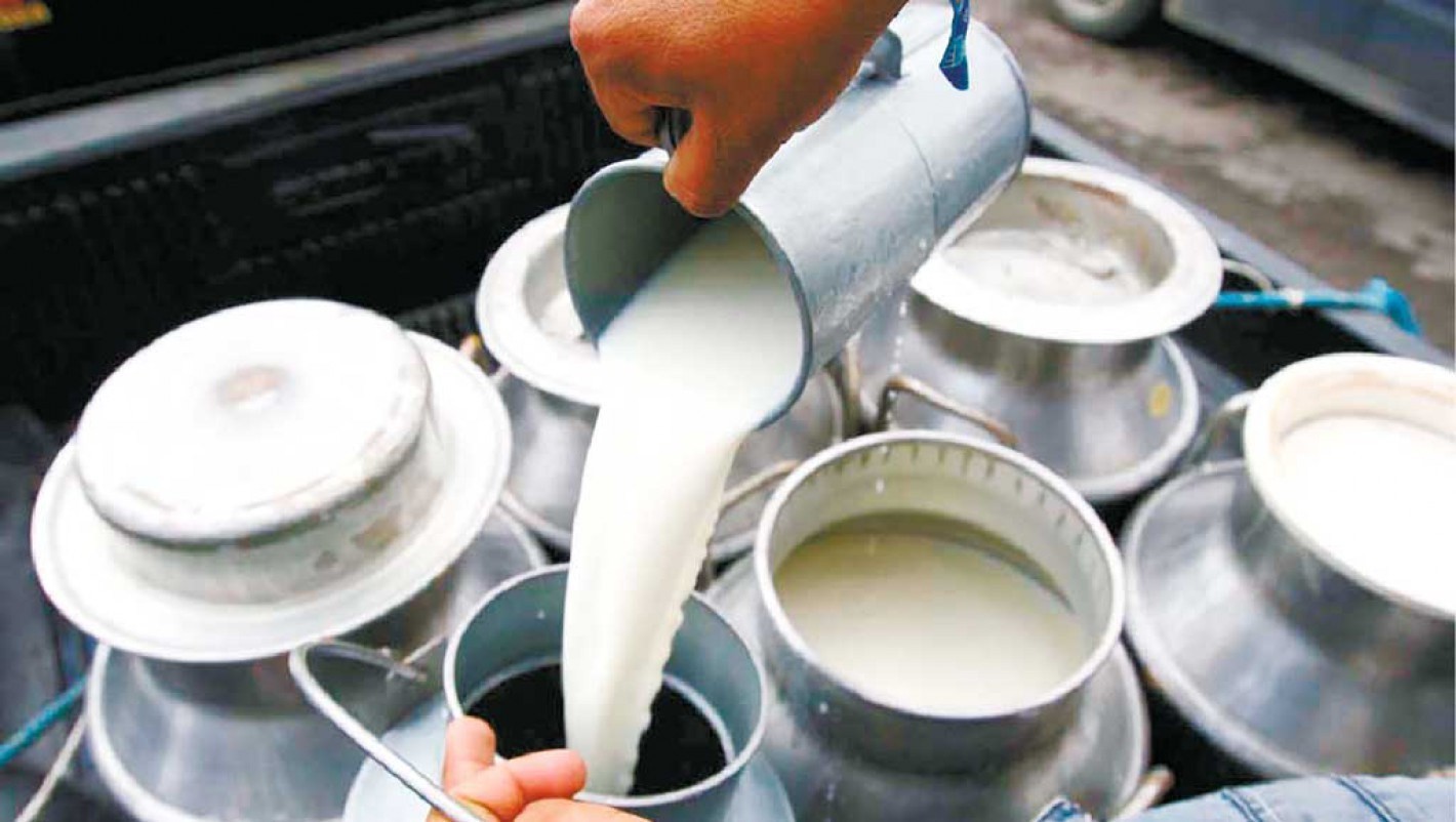 दुग्ध उत्पादक किसानलाई अनुदान