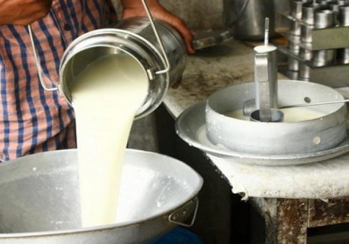 दुधको मूल्य बढाउने सरकारको निर्णय