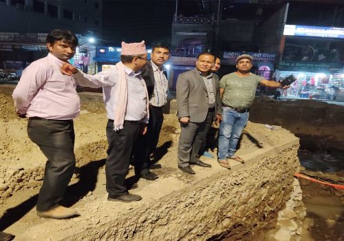 भारतको उत्तर प्रदेश जोड्ने मैनहिया-सम्पत्तिया प्रसारण लाइन निर्माण ६० प्रतिशत सकियो