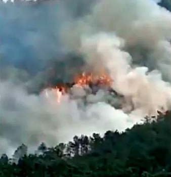 चीनमा १३३ यात्रु सवार जेट विमान दुर्घटनाग्रस्त