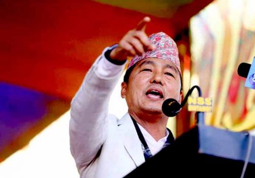 ठूला दललाई भोट दिनु भनेकाे साँढेको अगाडि दुधको बाल्टी थाप्नु जस्तै : लिङदेन