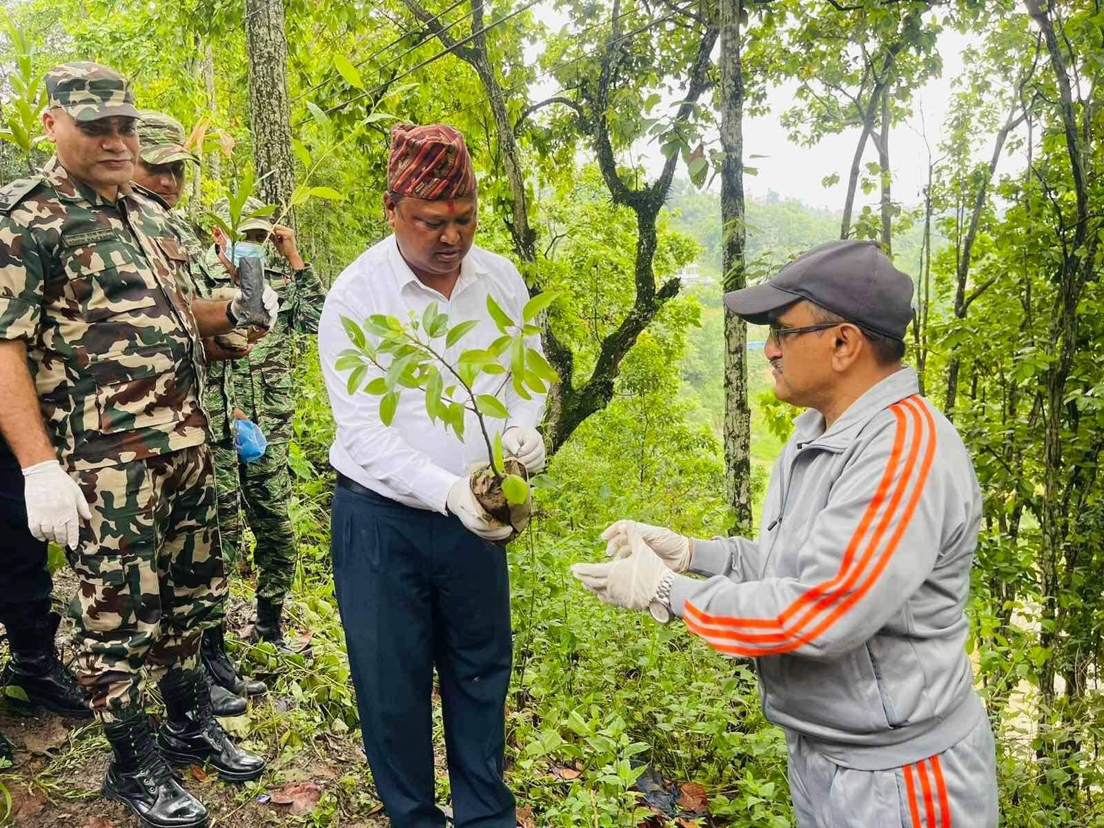 वृक्षारोपण दिवसको अवसरमा धादिङको विभिन्न स्थानमा वृक्षारोपण