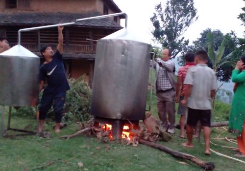 धादिङमा तितेपाती र गाईतिहारेको तेल उत्पादन सुरु