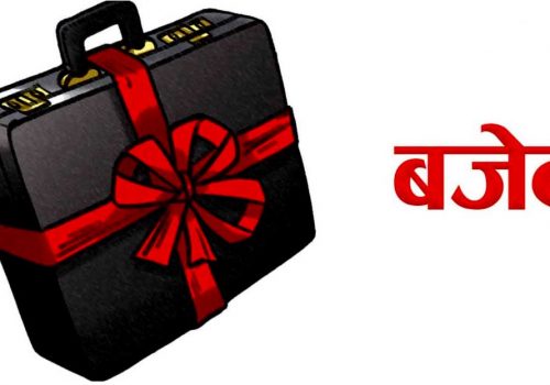 ६३ स्थानीय तहले बजेट पेश गरेनन्