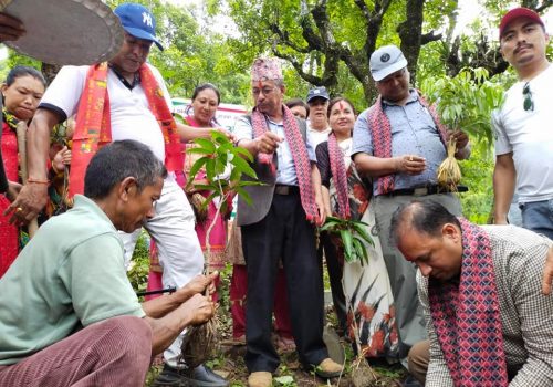 सामुदायिक वन दिवसको अवसरमा धादिङमा बृक्षरोपण