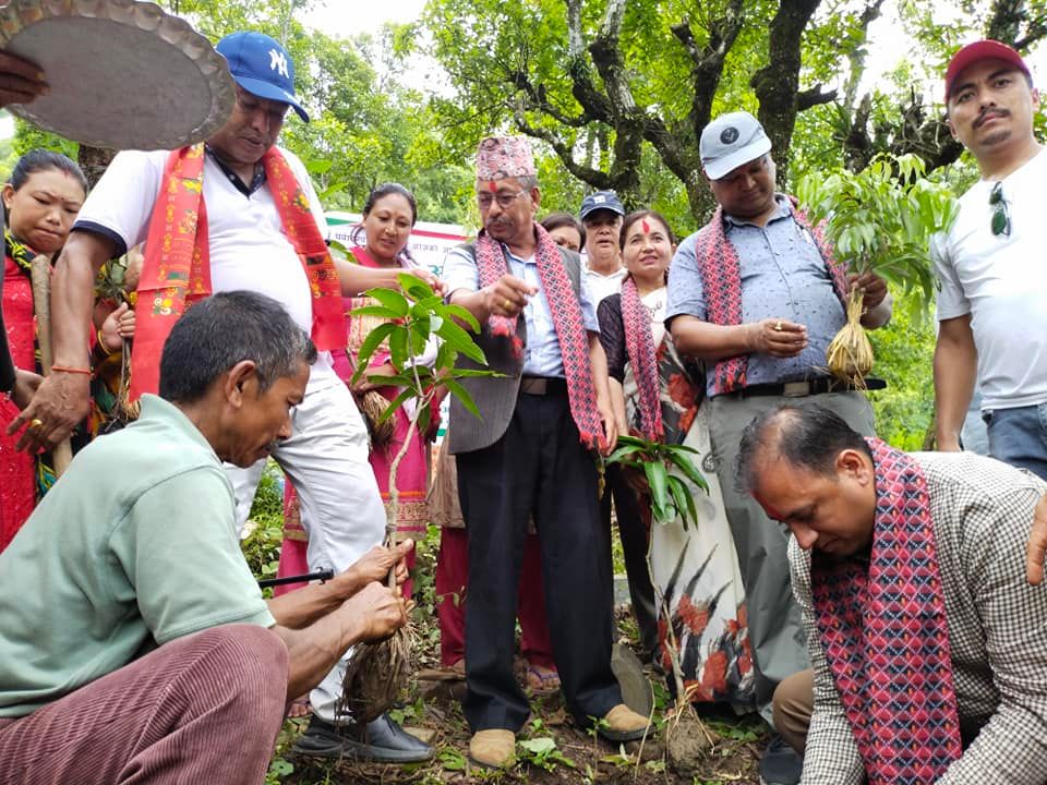 सामुदायिक वन दिवसको अवसरमा धादिङमा बृक्षरोपण