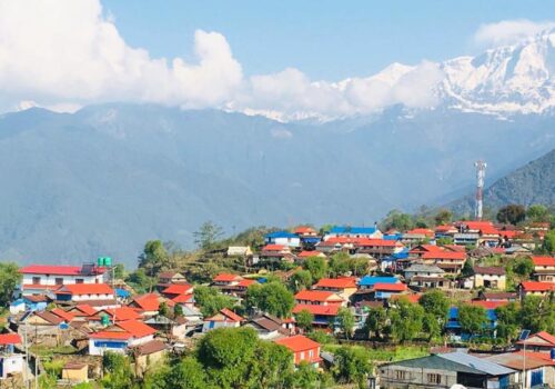 पर्यटकले होमस्टे भरिए