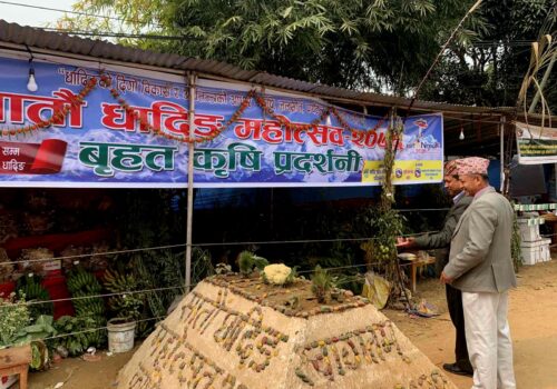 आठौँ धादिङ महोत्सवमा बृहत कृषि मेला तथा प्रदर्शनी हुने, उत्कृष्ट हुने कृषकलाइ नगद पुरस्कार