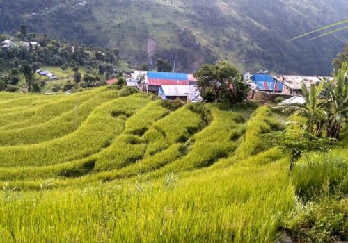 मगर संस्कृतिको केन्द्र जोगाउन अभ्यासरत छ सलाङ