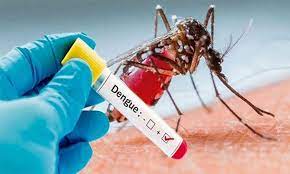 धादिङमा डेंगु सक्रमित हुनेको संख्या २ हजार ४८८ पुग्यो