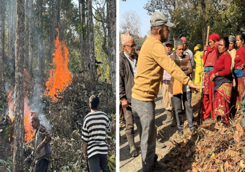 धादिङमा वन डढेलो सचेतना सप्ताह सुरु