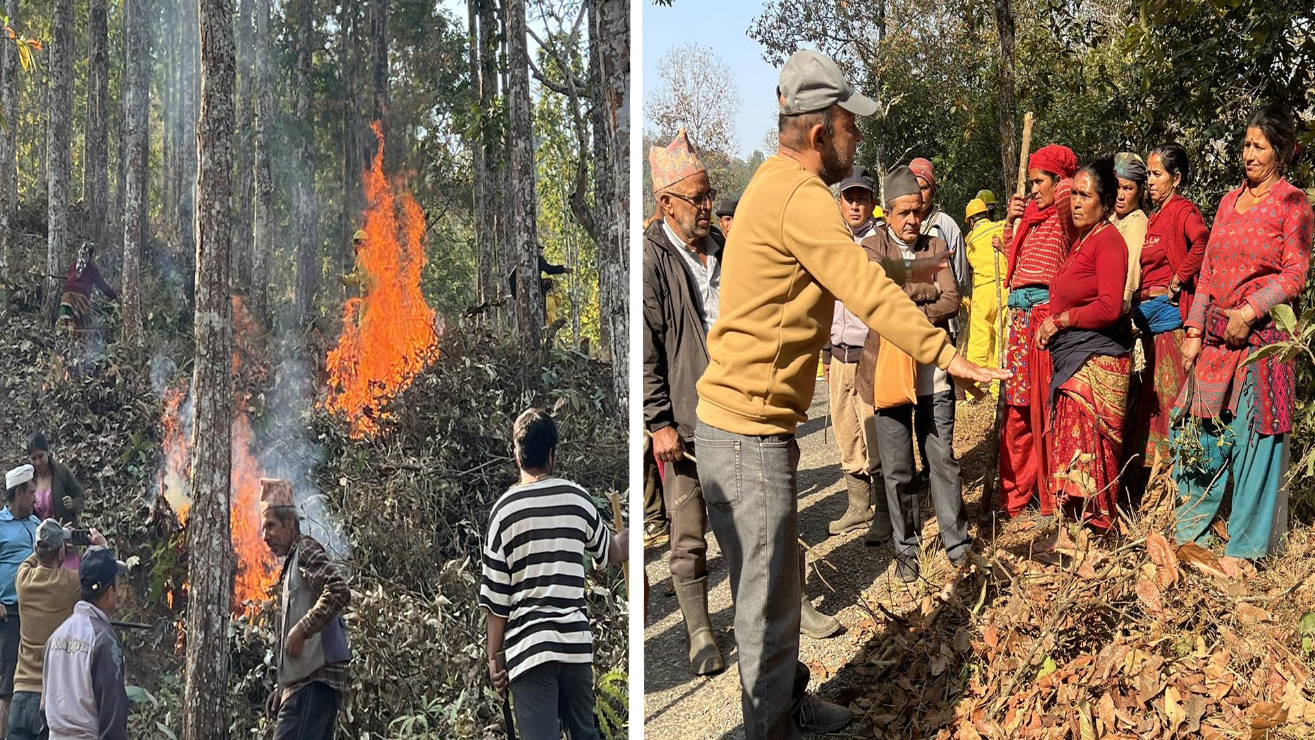 धादिङमा वन डढेलो सचेतना सप्ताह सुरु