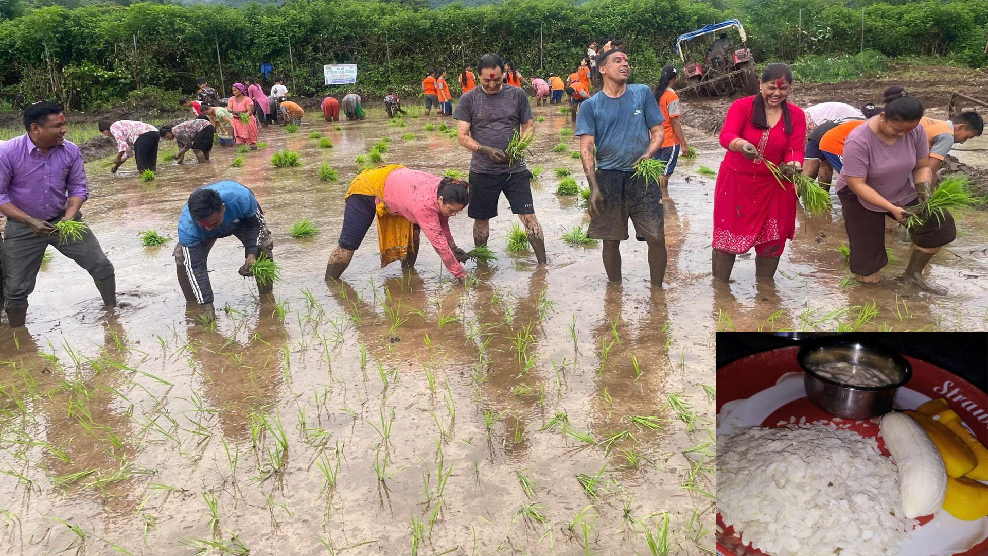 आज असार १५ : धान दिवस, दही चिउराको सांस्कृतिक पर्व मनाइँदै