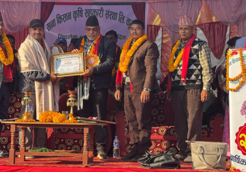 पत्रकार महासंघ धादिङका अध्यक्ष अधिकारी सम्मानित